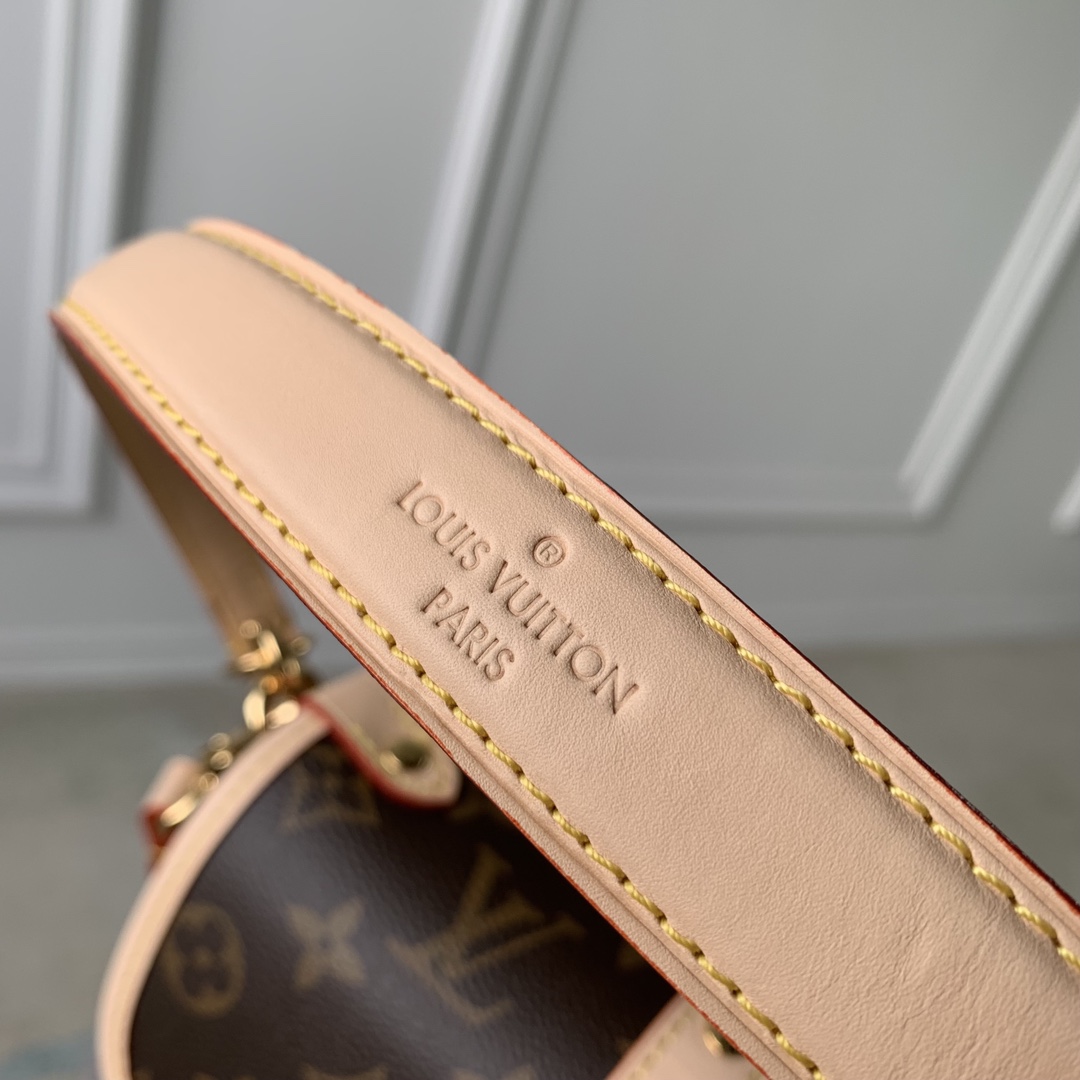 LV Satchel bags